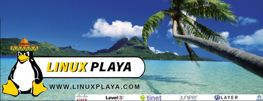 LinuX Playa Network
